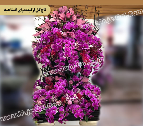 تاج گل ارکیده برای افتتاحیه