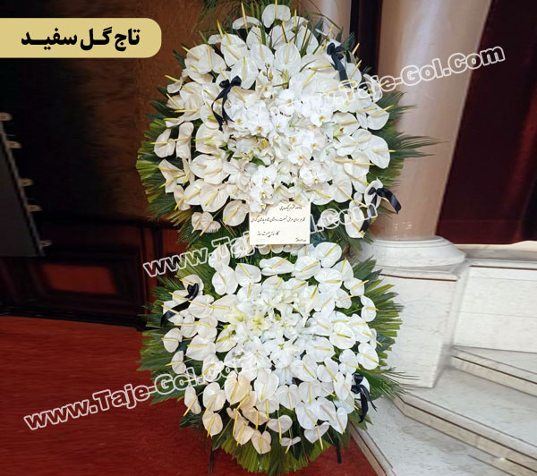تاج گل سفید